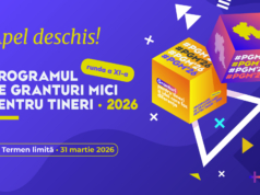 Apel deschis în cadrul Programului de Granturi Mici pentru Tinerii din raionul Ștefan Vodă (runda a XI-a, 2026)
